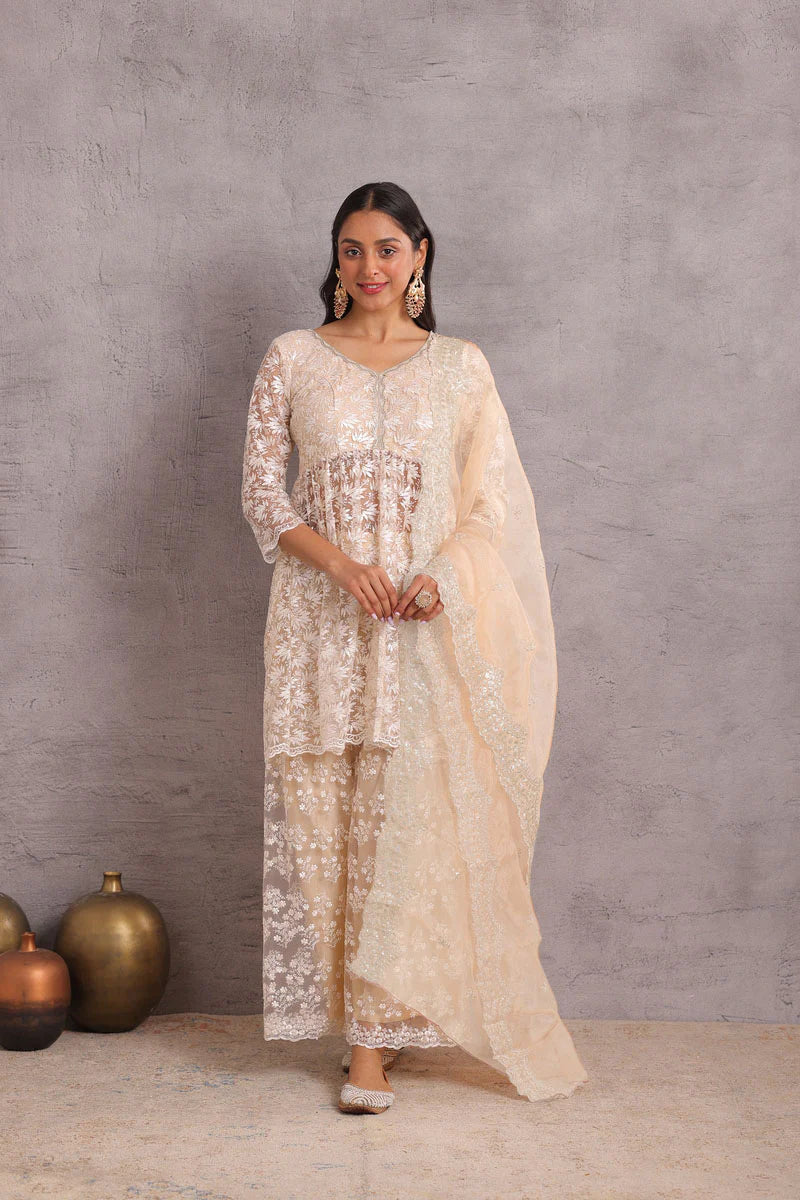 Pearly Net Sequence Embellished Suit Set