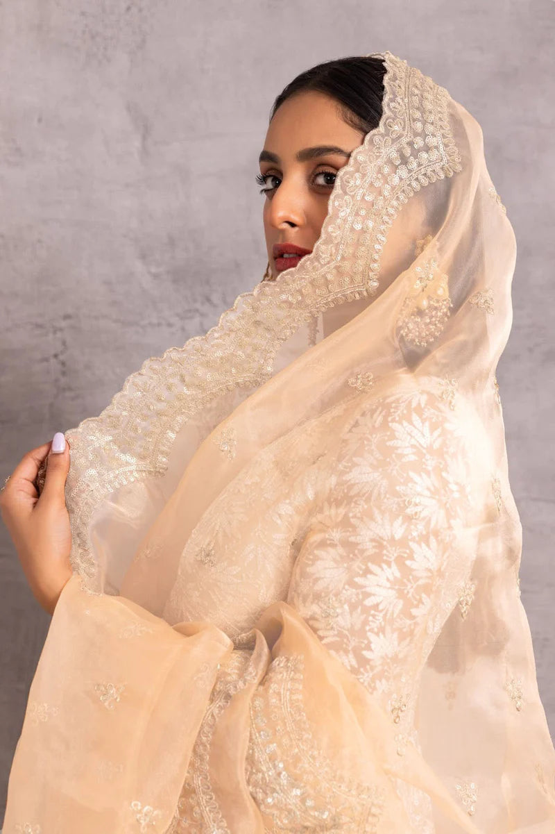 Pearly Net Sequence Embellished Suit Set