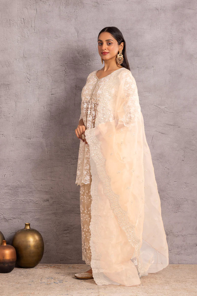 Pearly Net Sequence Embellished Suit Set