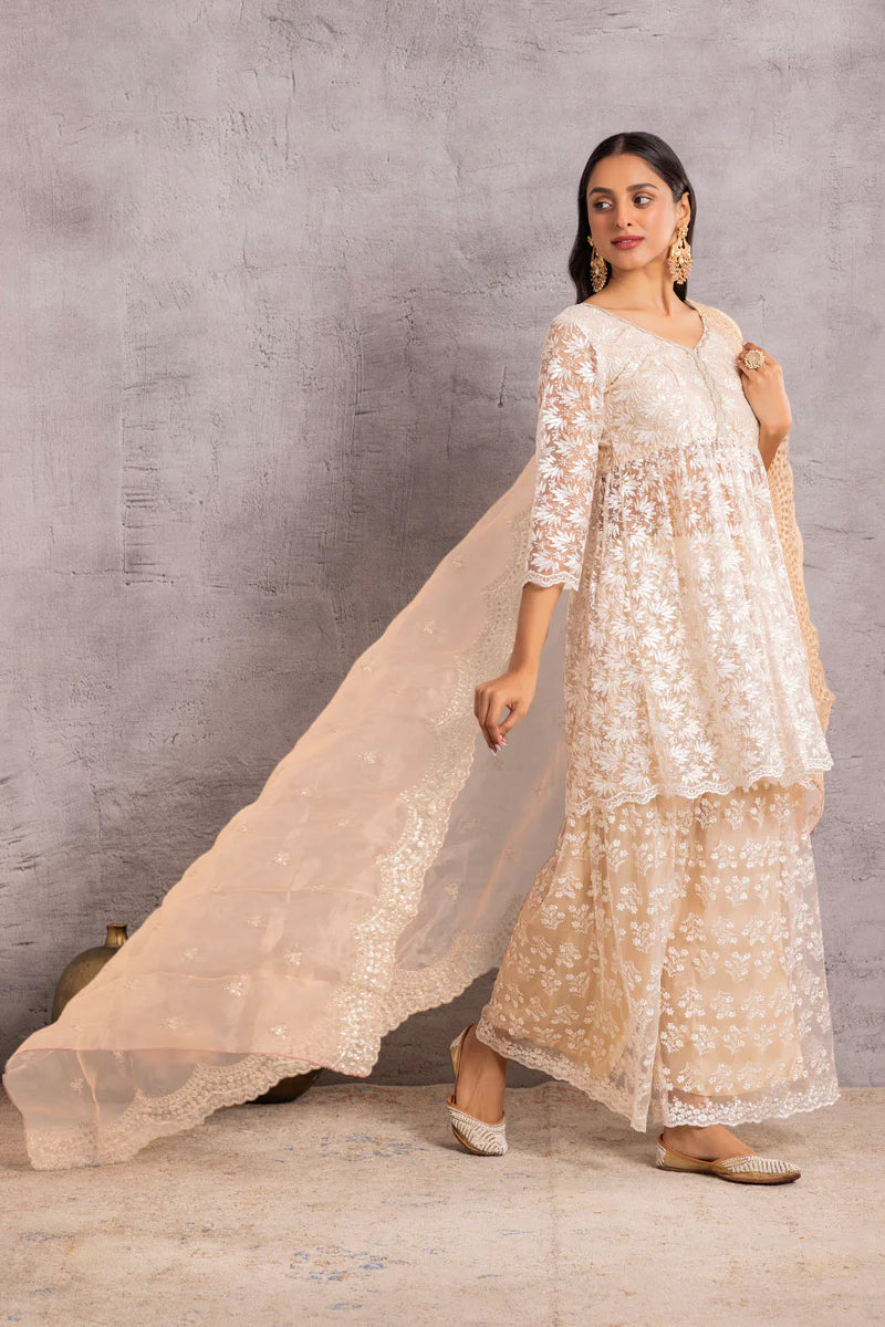 Pearly Net Sequence Embellished Suit Set