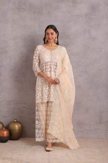 Pearly Net Sequence Embellished Suit Set