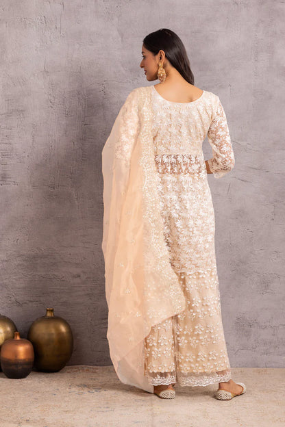Pearly Net Sequence Embellished Suit Set