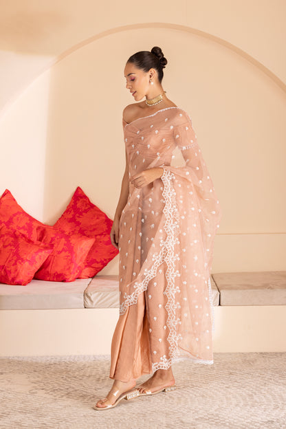 Peach Blush Pre Draped Organza Saree